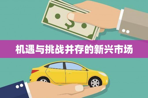 北投机遇与挑战并存的新兴市场