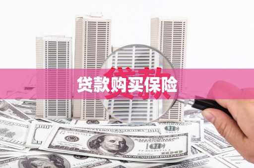 北投贷款购买保险