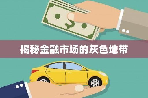 北投揭秘金融市场的灰色地带